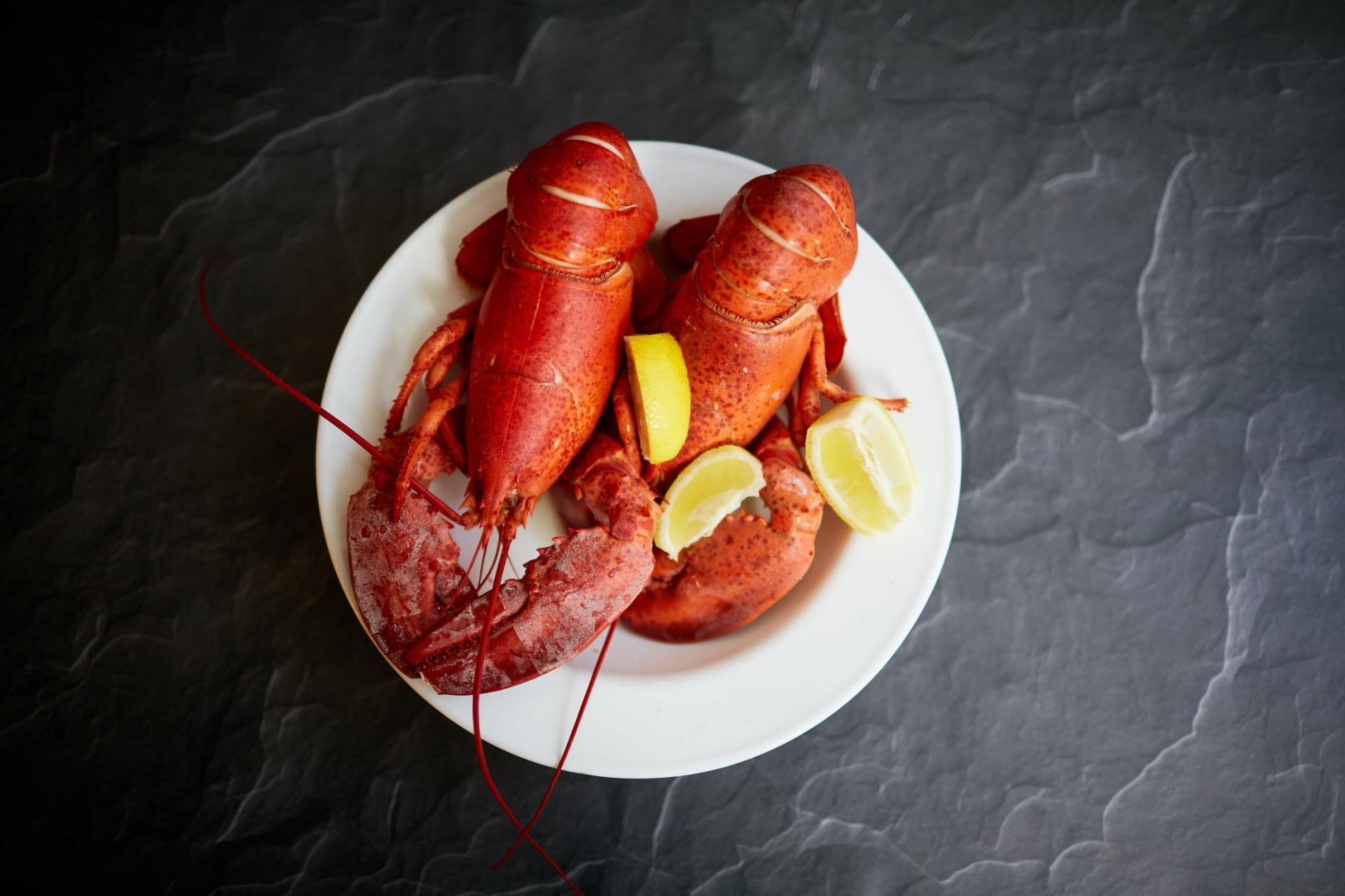 lobster specials