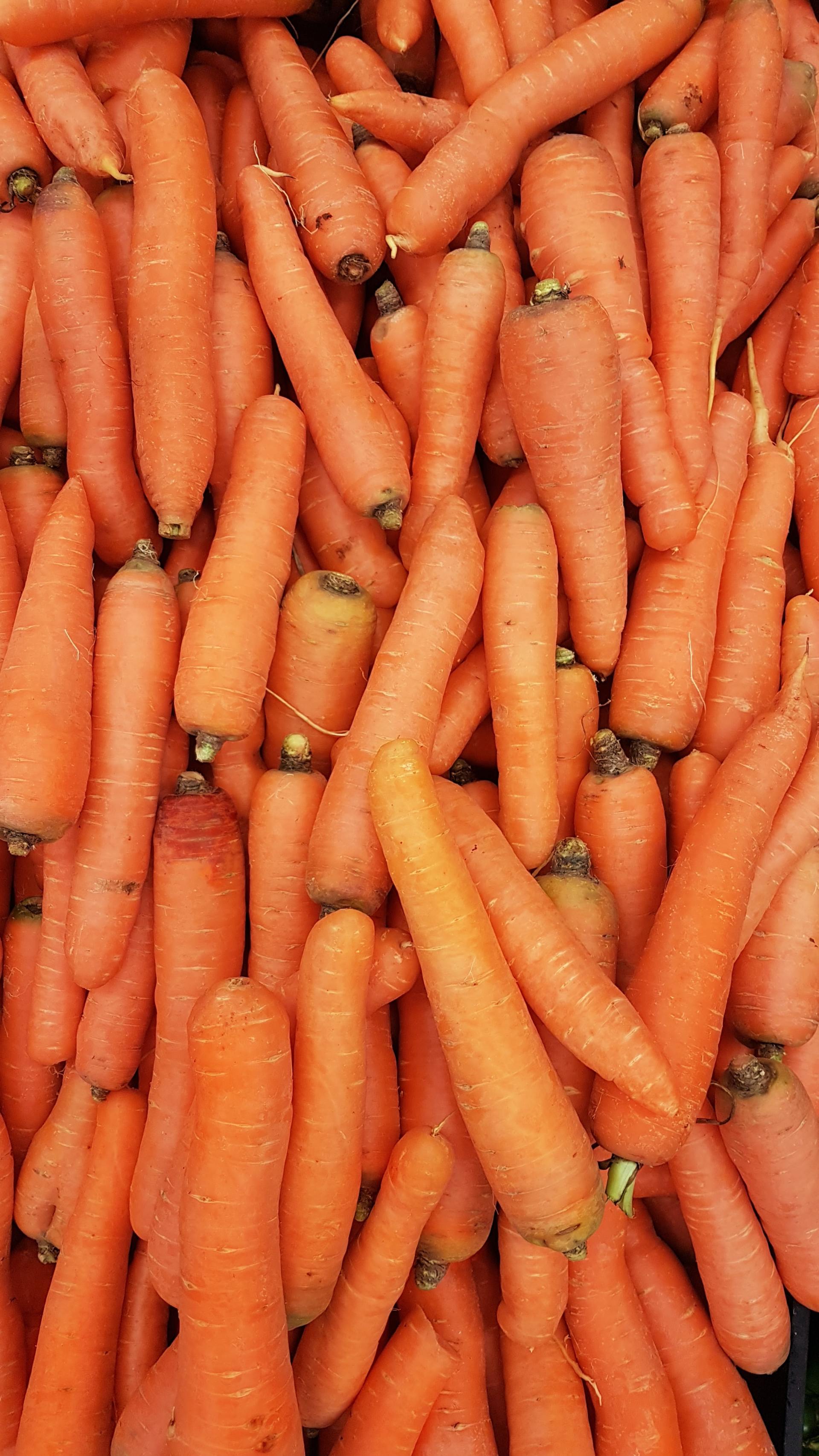 Low FODMAP Diet: Carrot