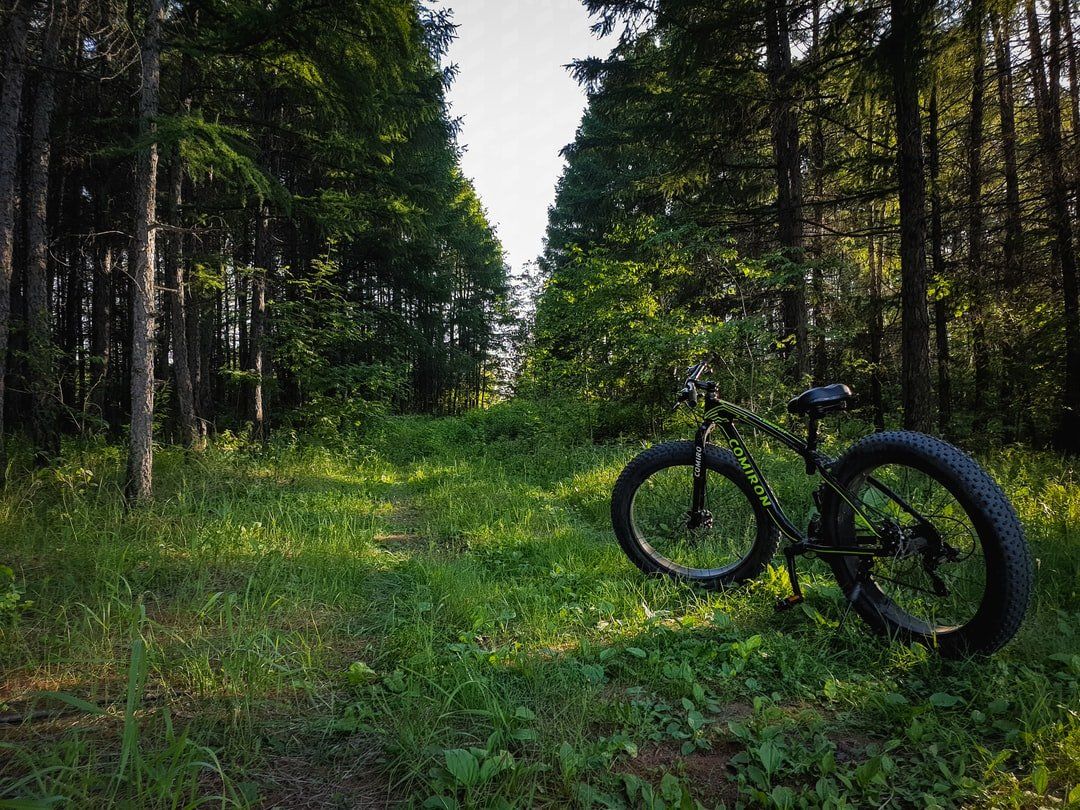 Fatbike à louer en forêt