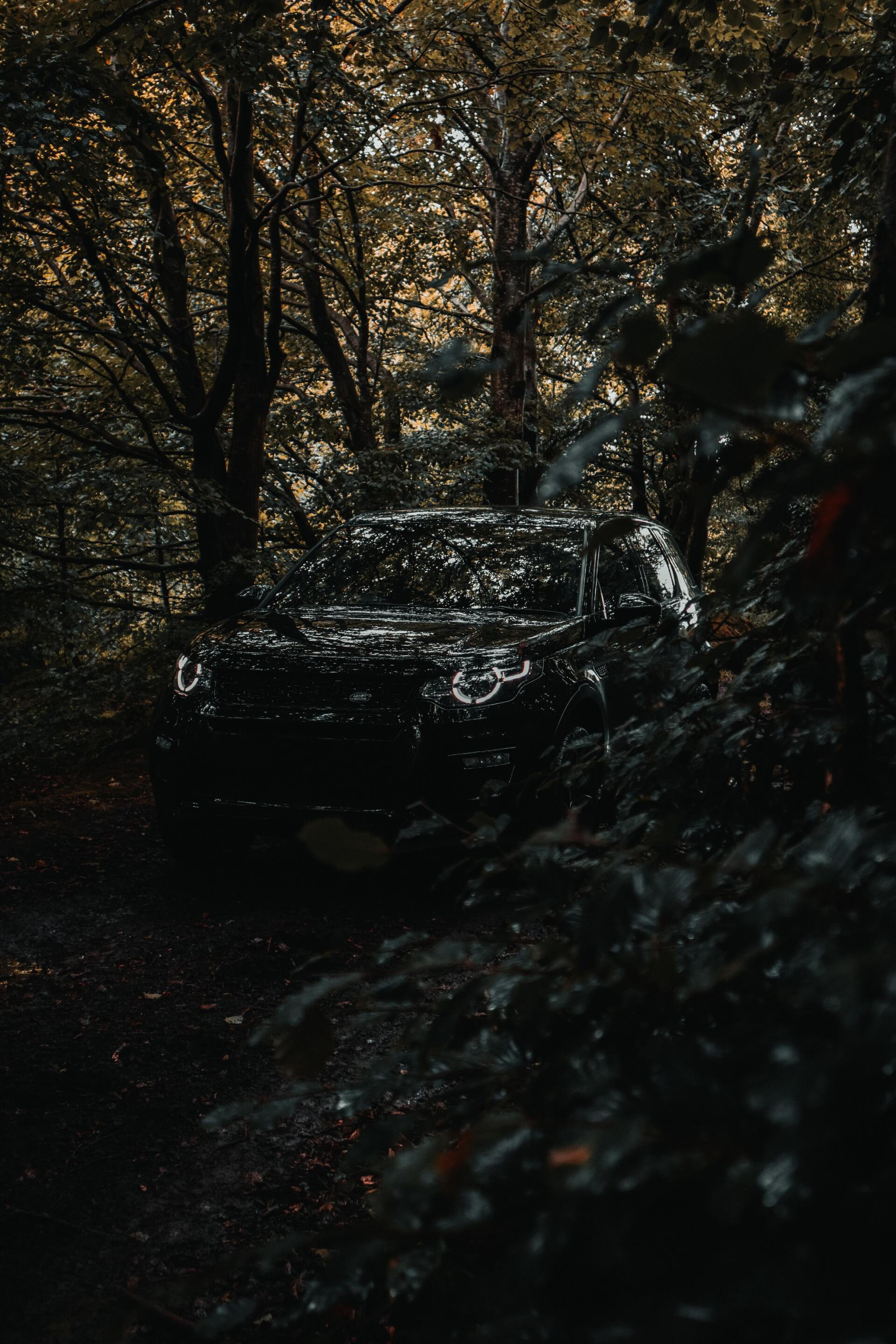 black Land Rover Range Rover in the woods