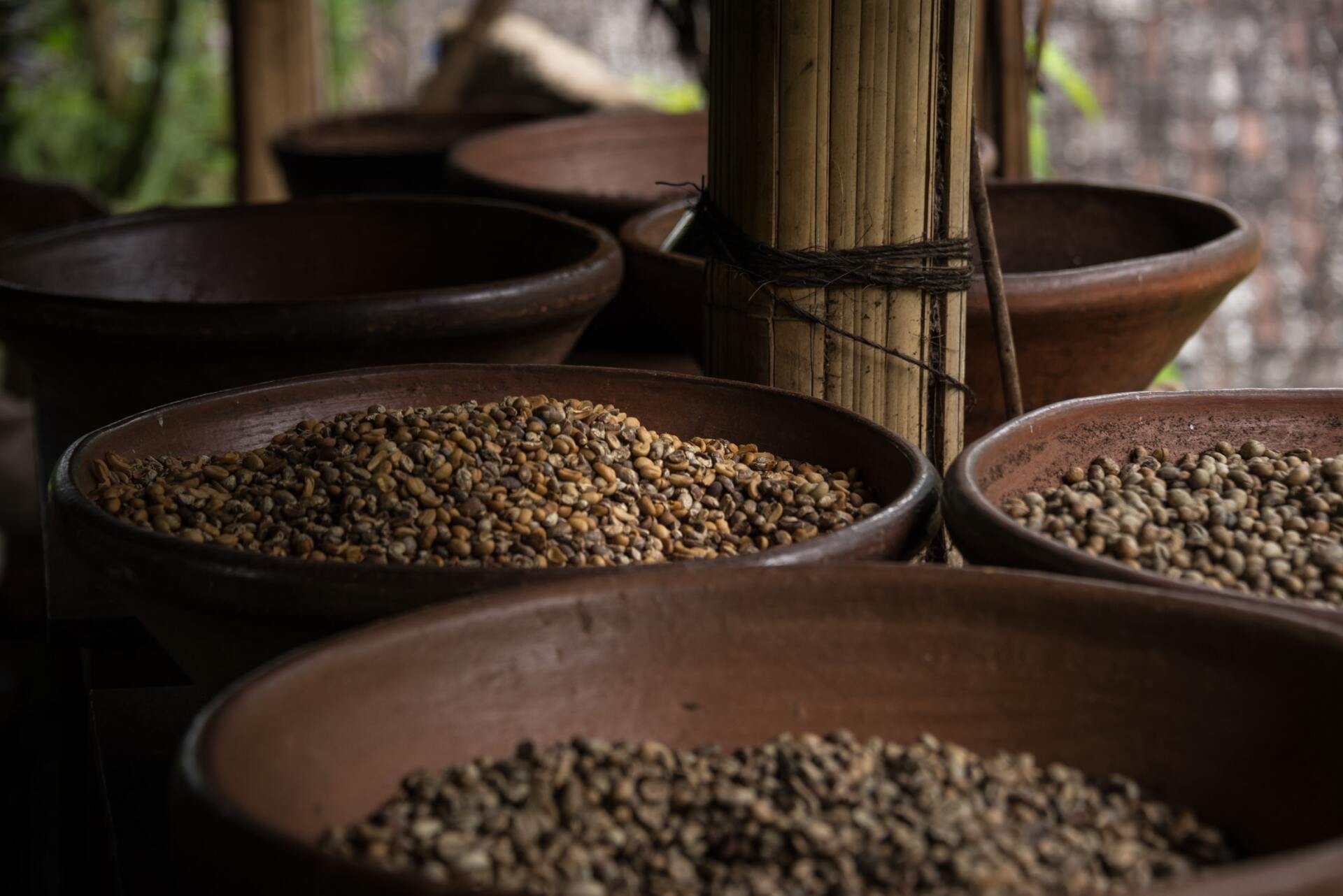 High FODMAP Diet: Lentils