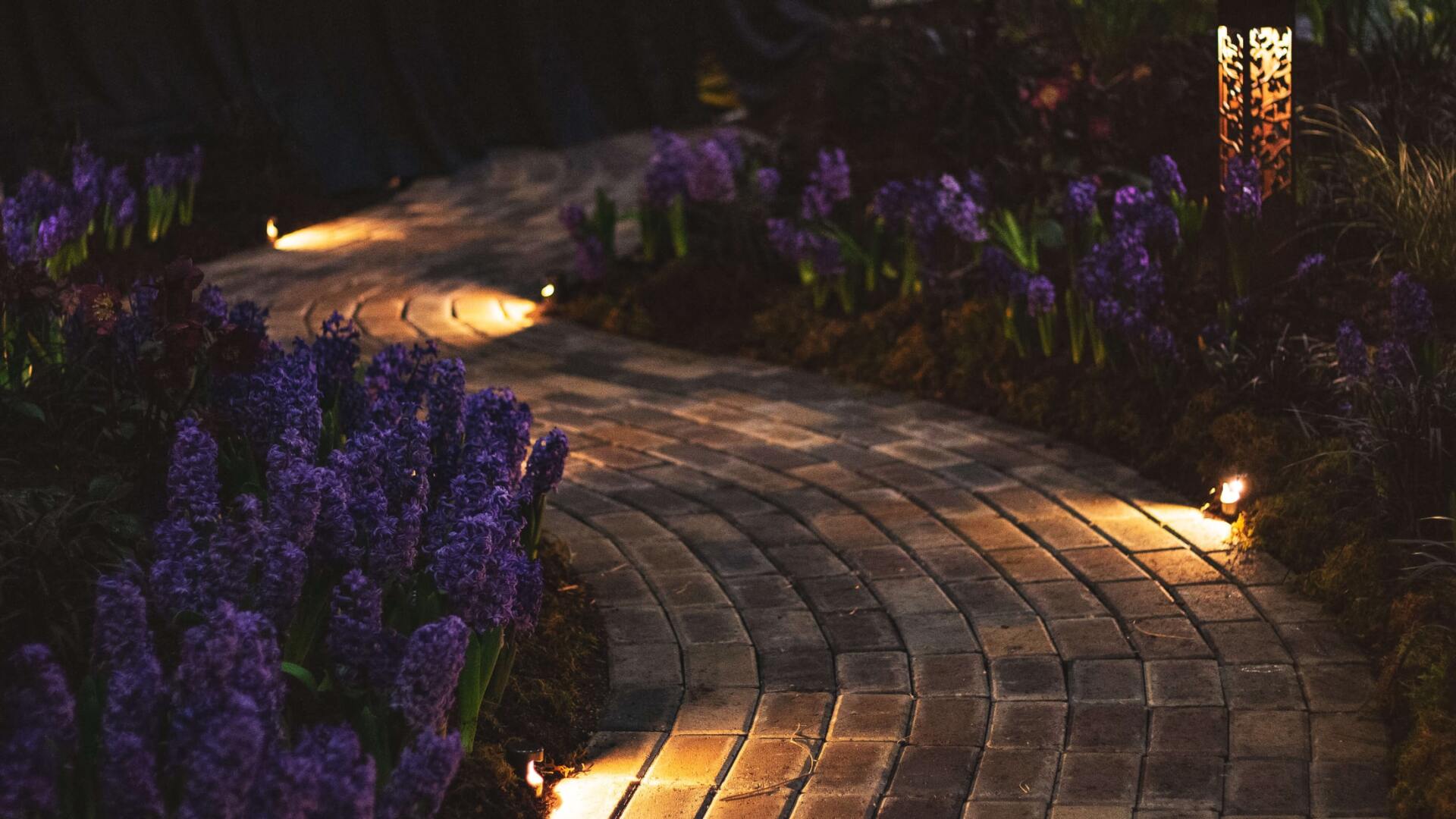 A picture of landscape lighting along a garden path