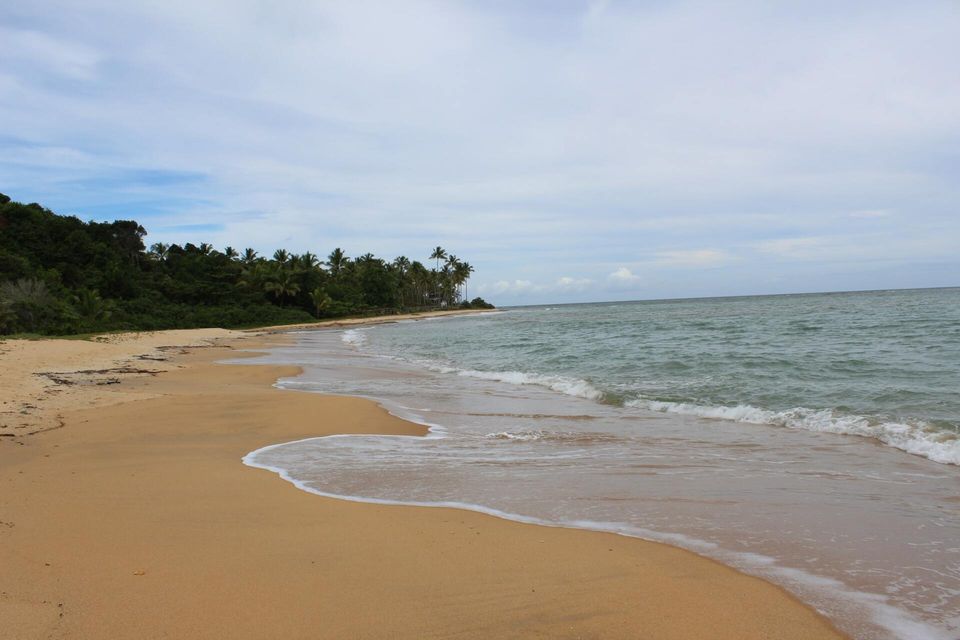 Playas de Bahía Solano