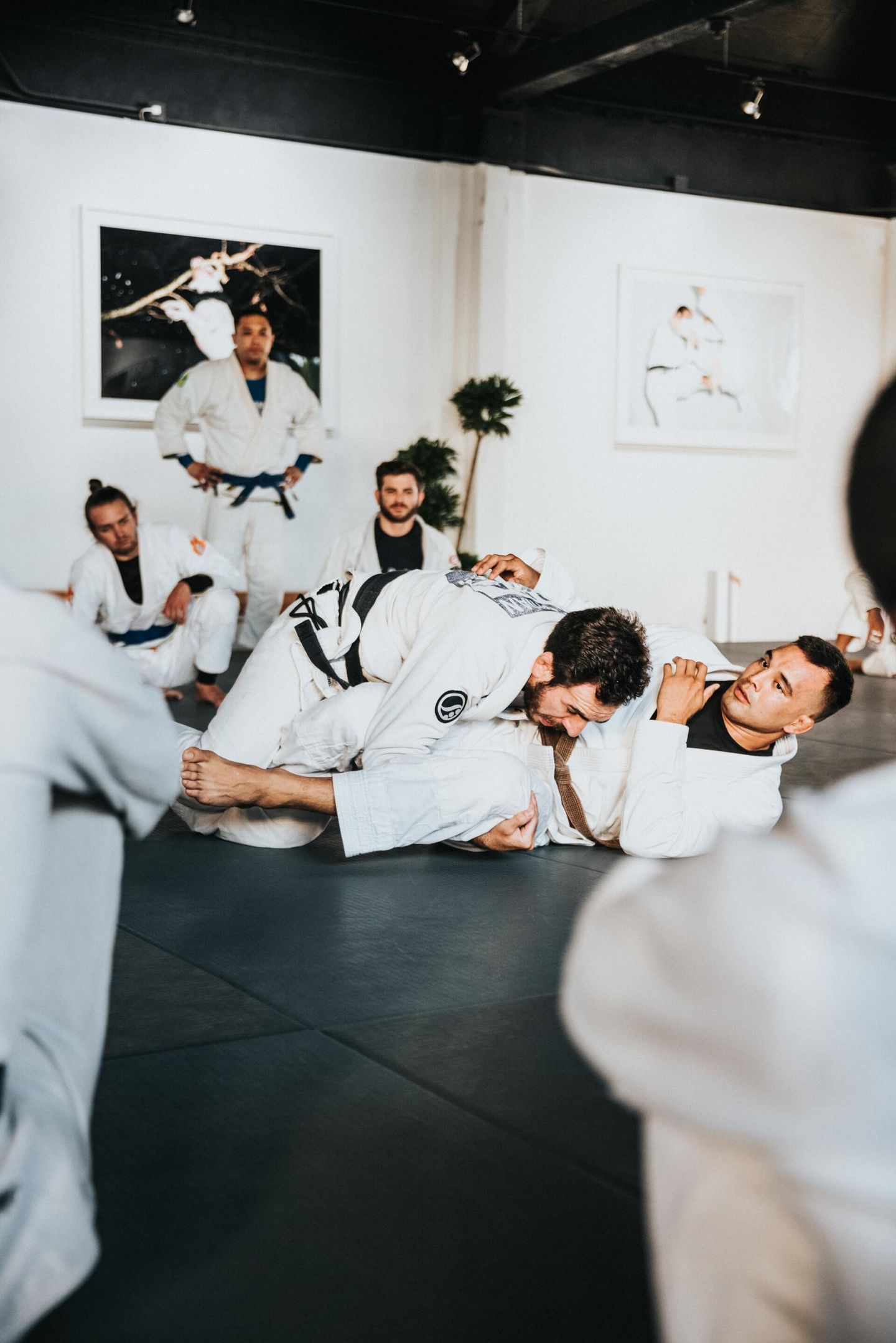 Martial Arts Insurance Industry Specialists Quotes 03