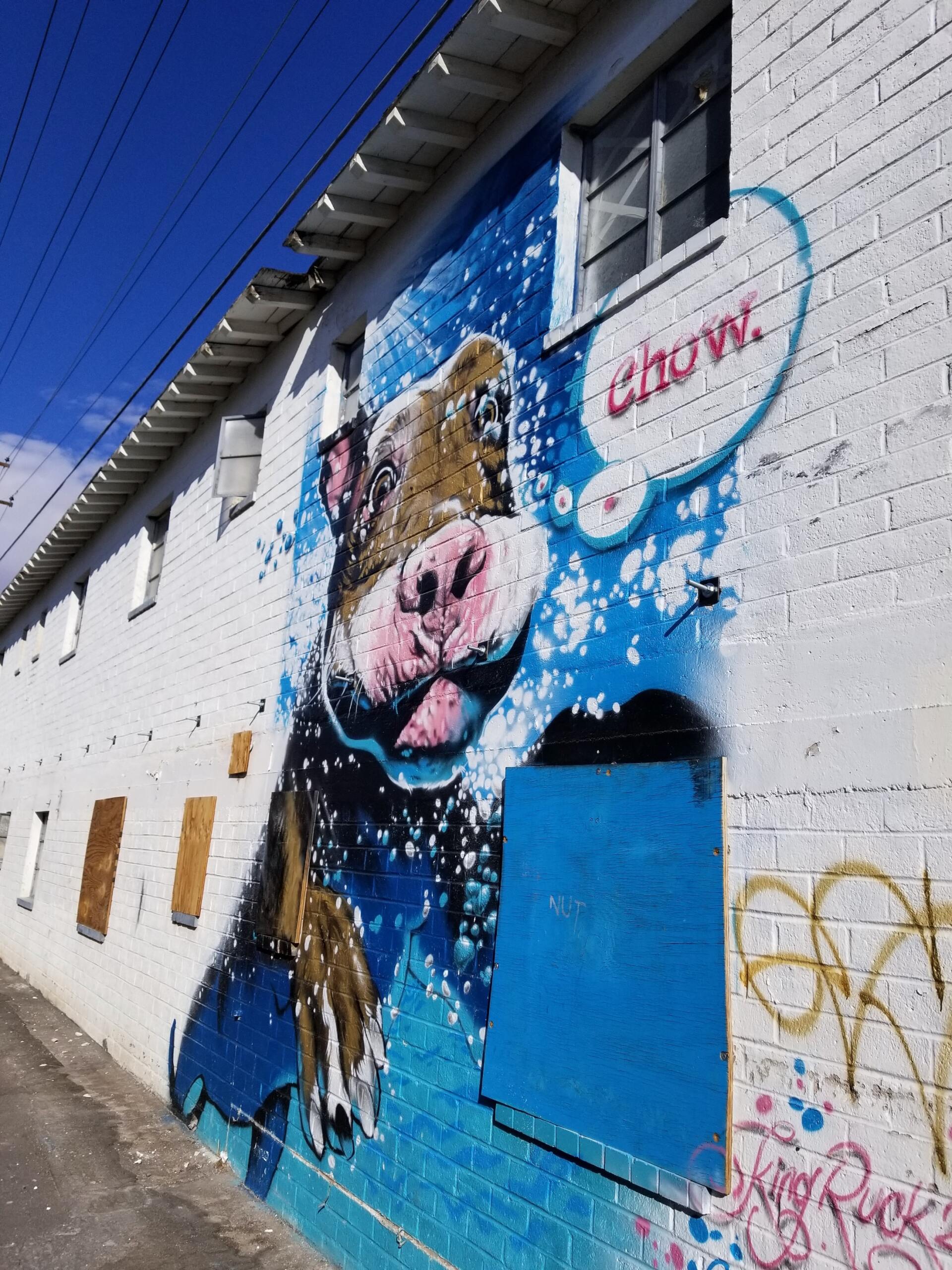 A mural of a dog with a speech bubble that says chow