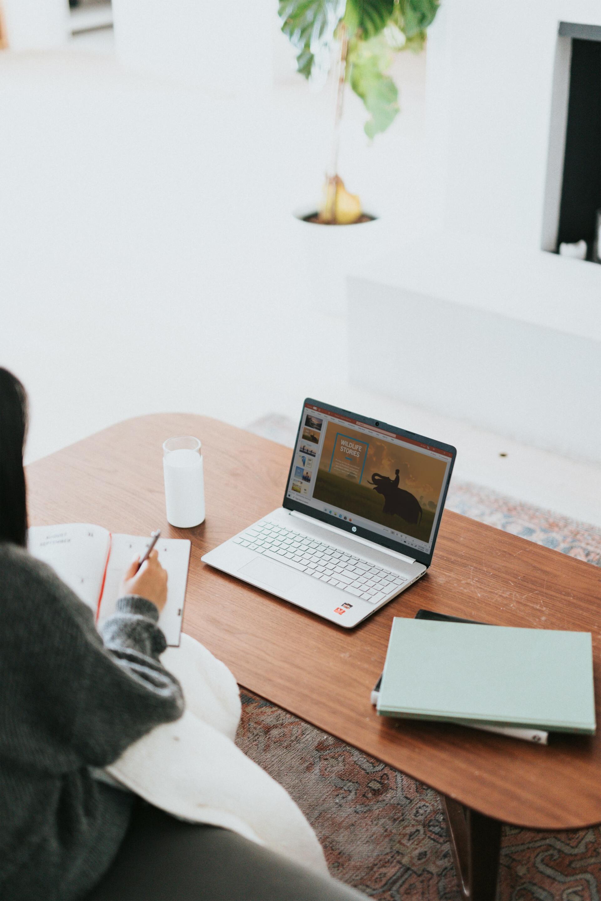 Woman With Her Laptop