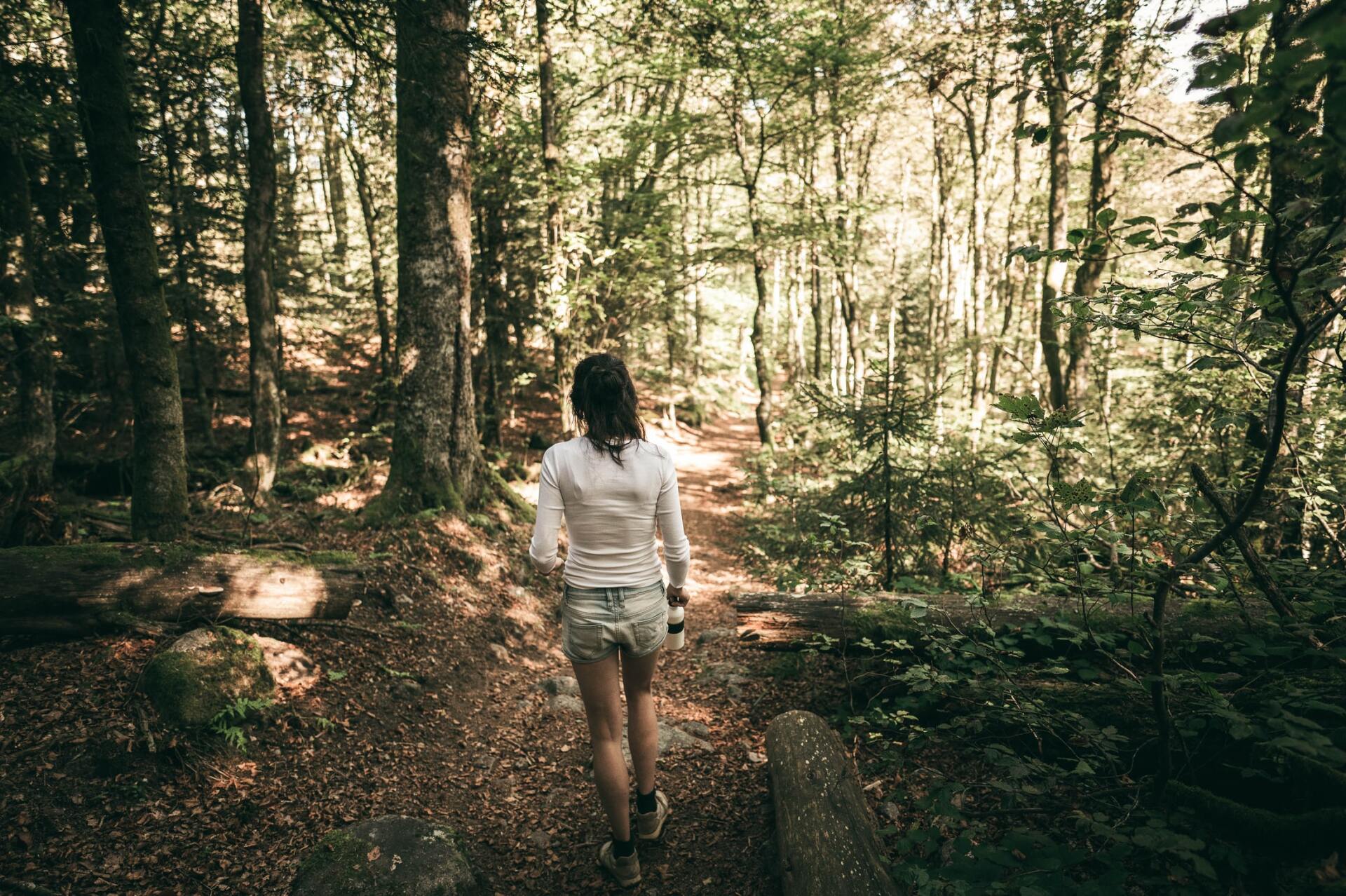 mindful walking, nature based wellness
