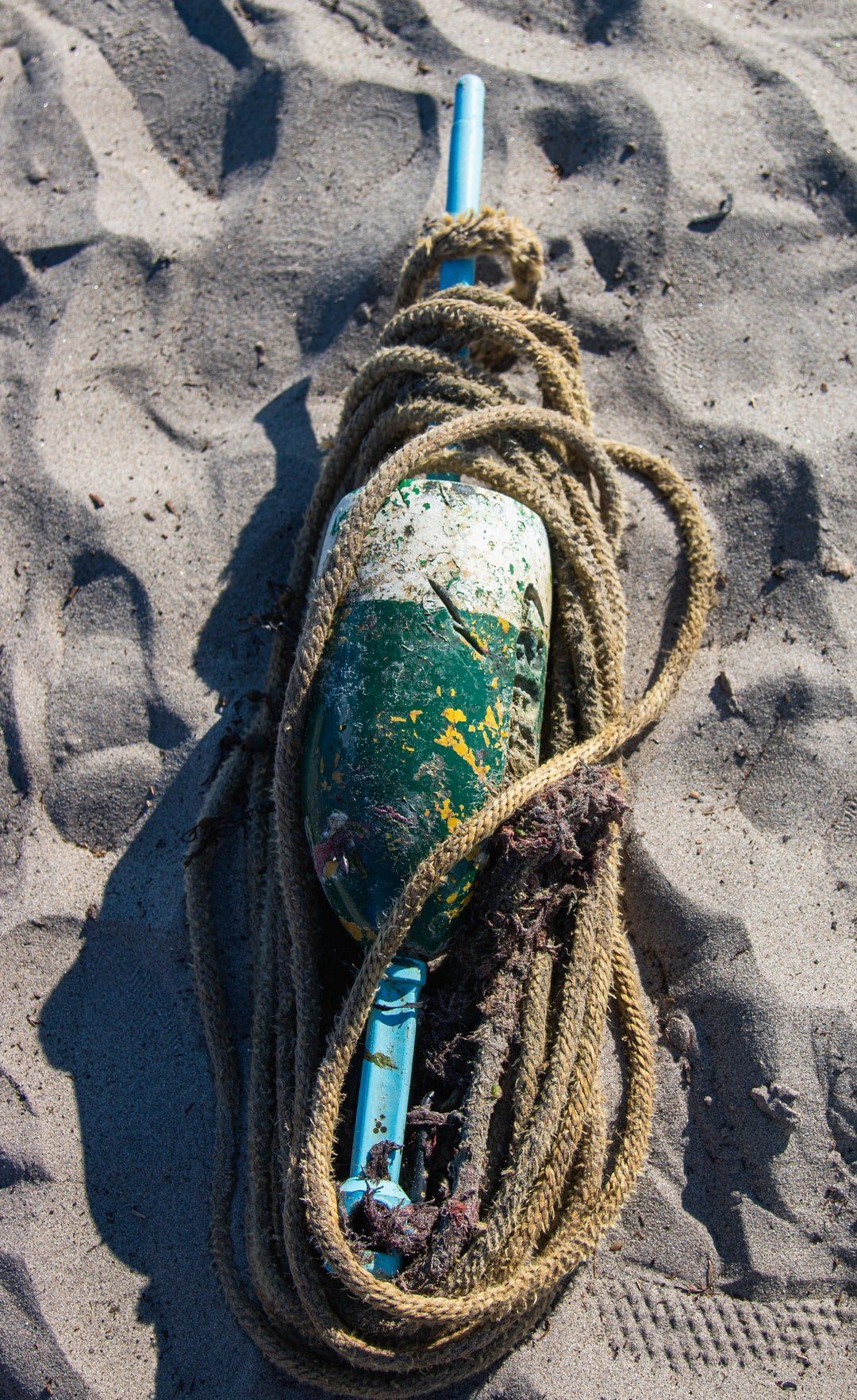 A buoy and rope are laying on the sand on the beach.