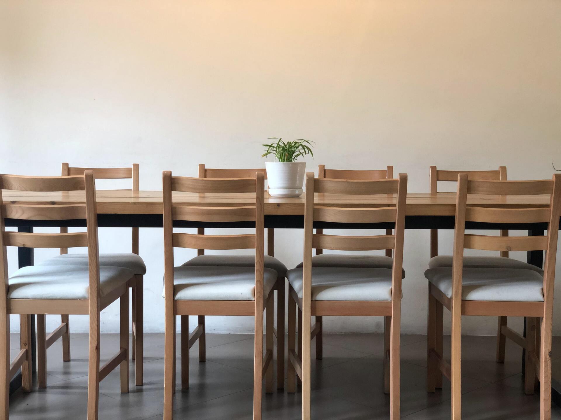A dining room table with chairs and a potted plant on it