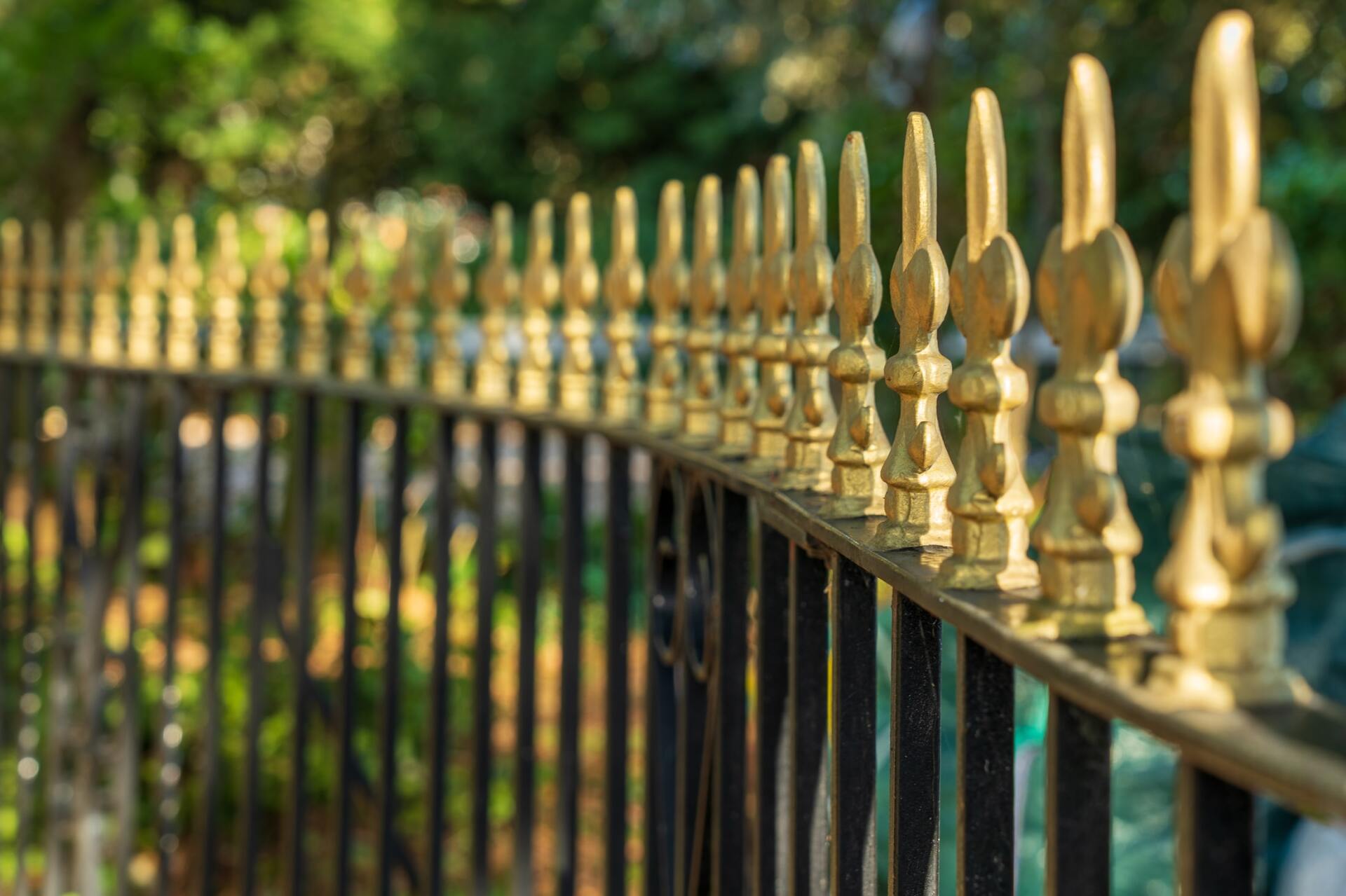ornamental corrugated iron fences with gold speartips