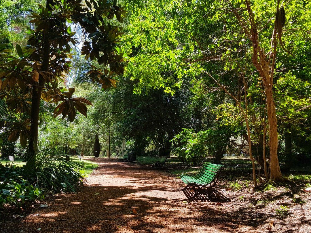 Um banco verde está no meio de um parque cercado por árvores.