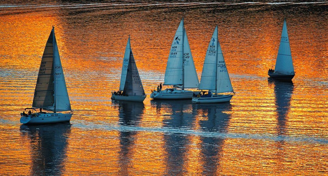 sailing lake lanier