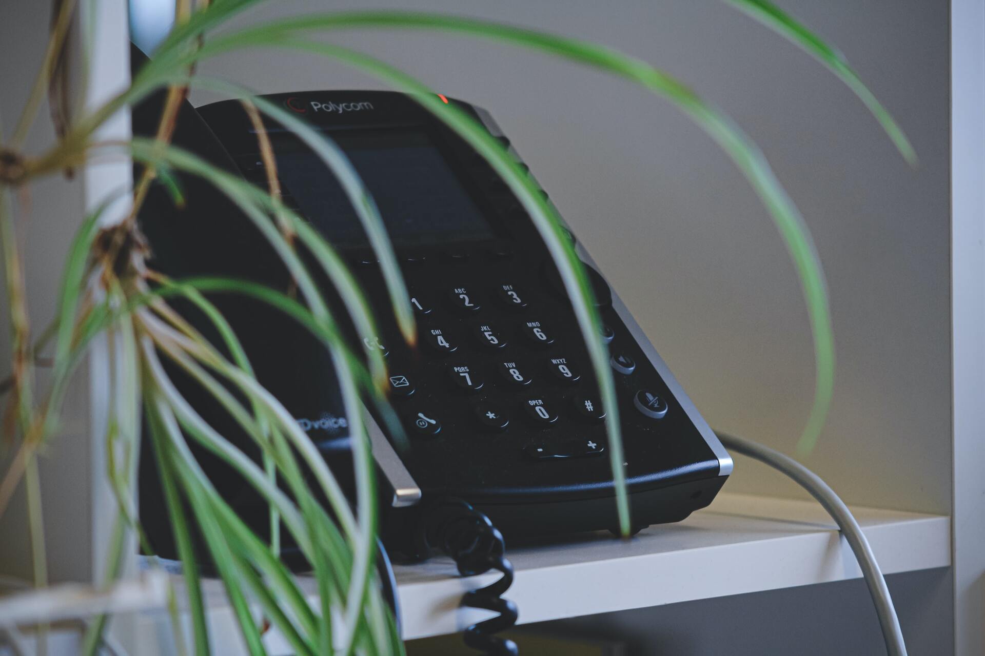 A black telephone is sitting on a white shelf next to a plant.