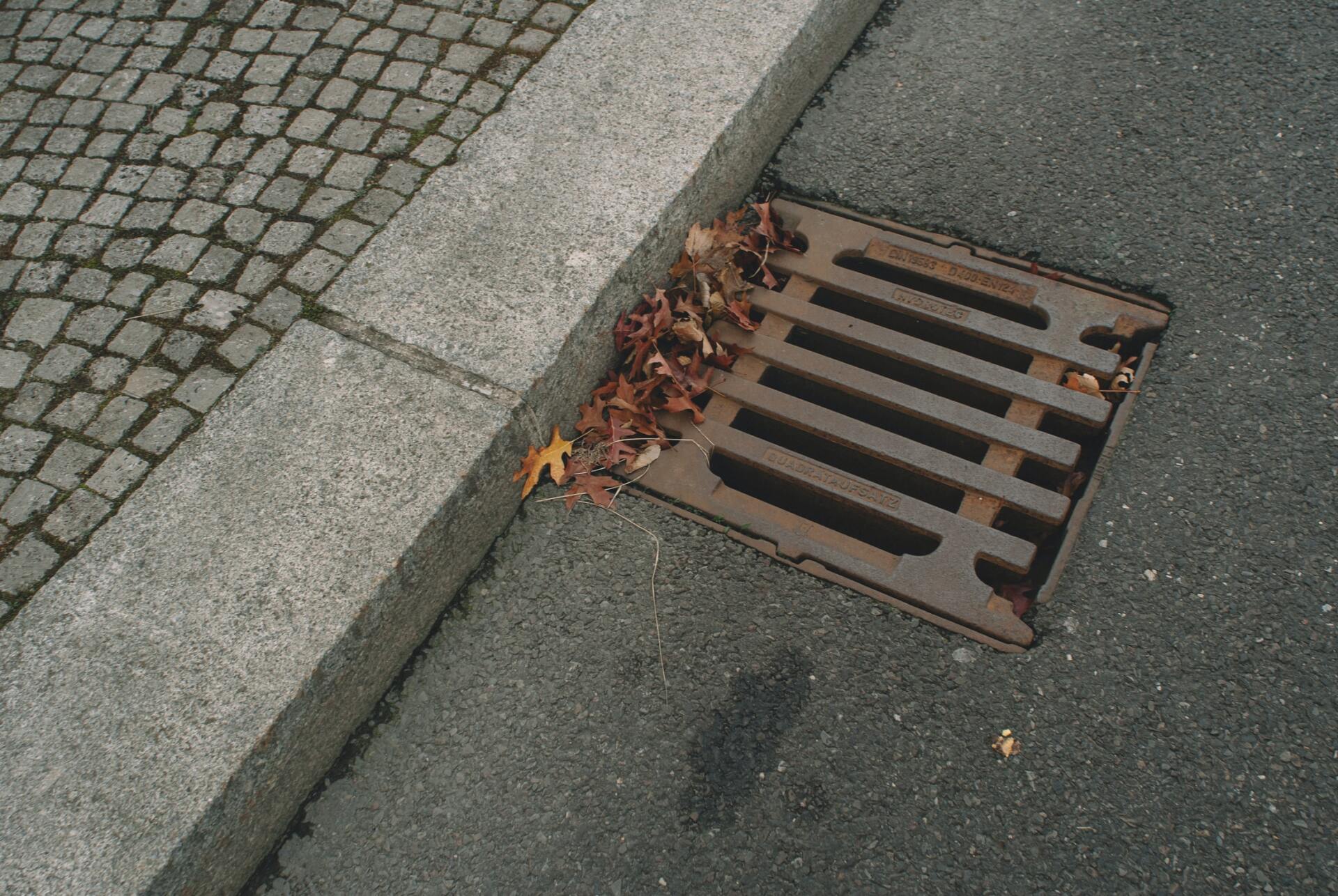 Irrigation Systems and Drainage Systems (Sprinkler Repair and Installation, Drainage Repair, and Installation)