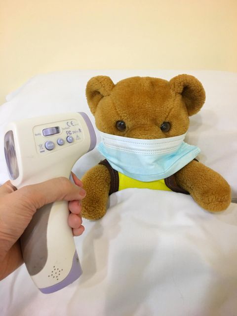 Teddy Bear | Land O Lakes, FL | Prevention Priority