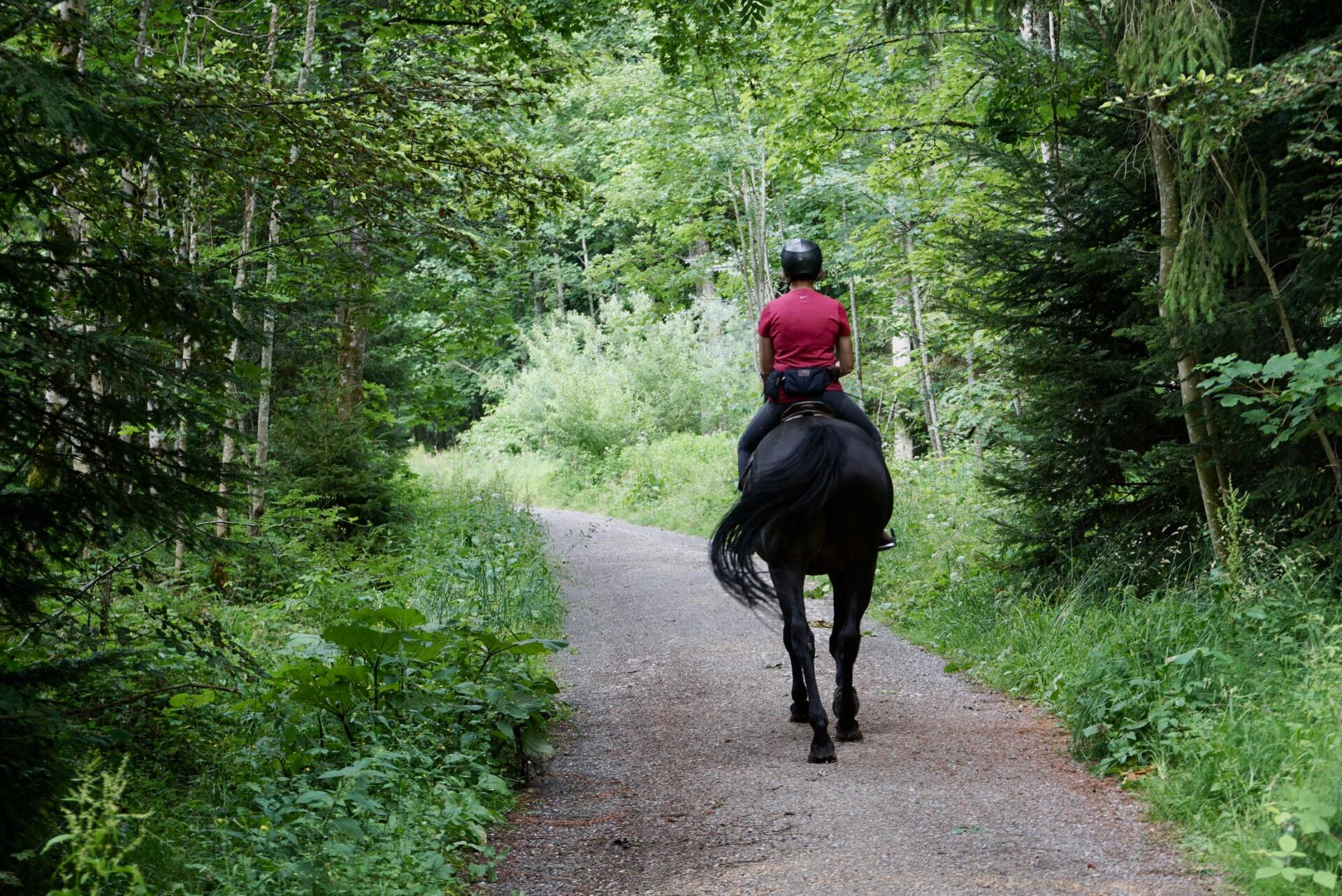 Woman riding a black horse on a trail in Perry State Forest