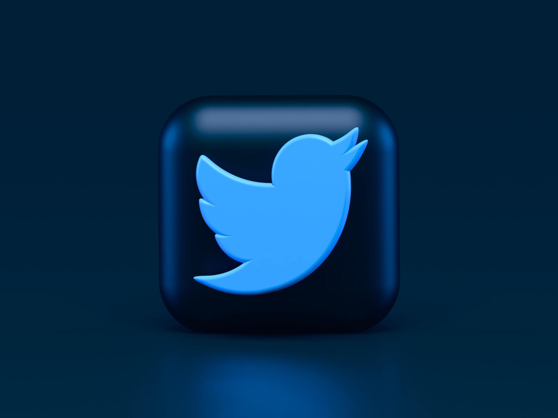 an image with twitter logo representing twitter updates
