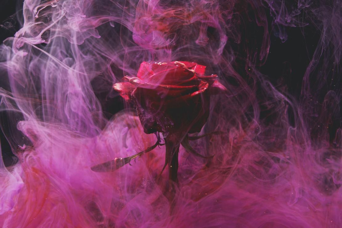 A red rose is surrounded by pink smoke on a black background.
