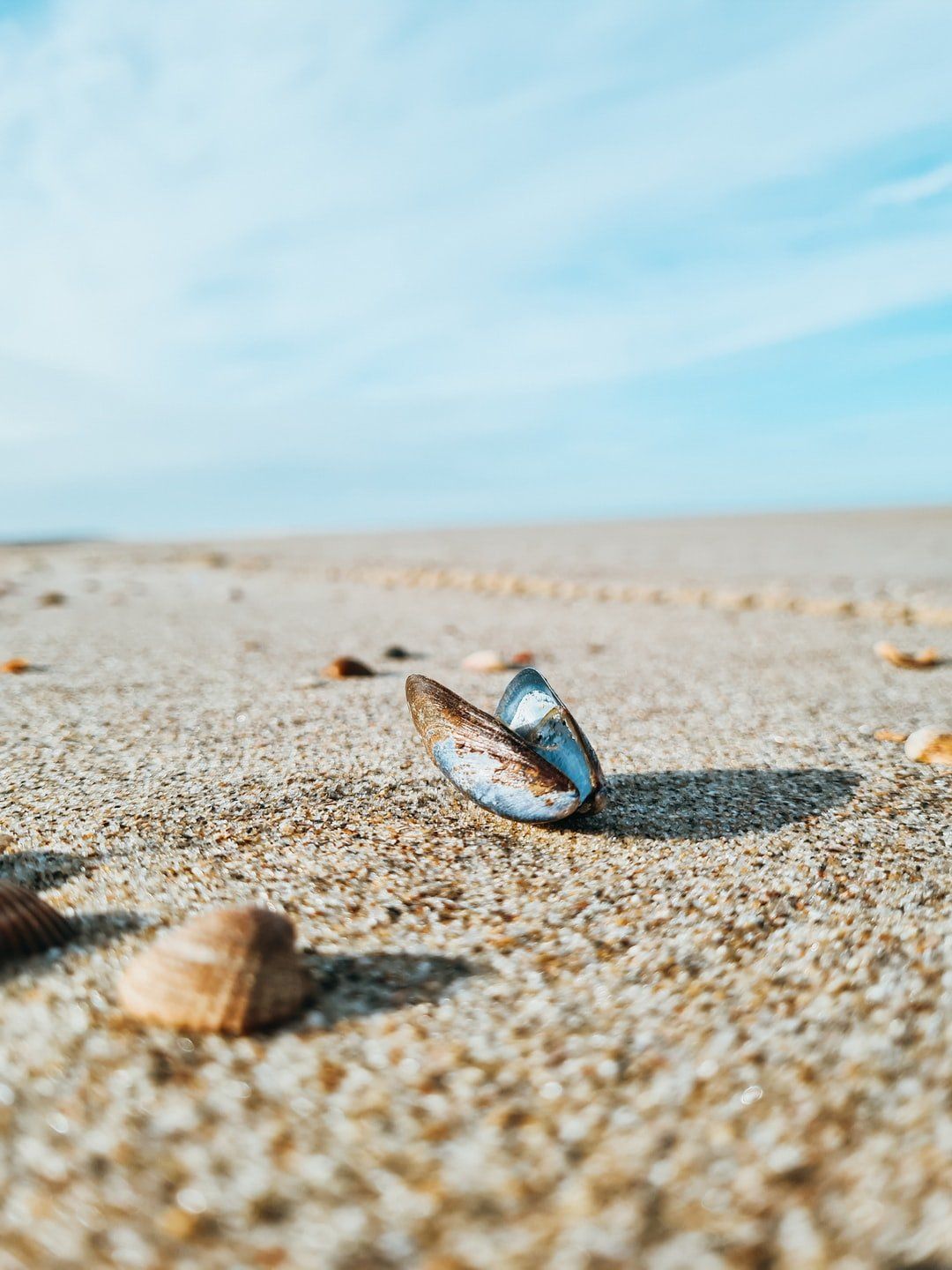 Mooiste stranden van Nederland