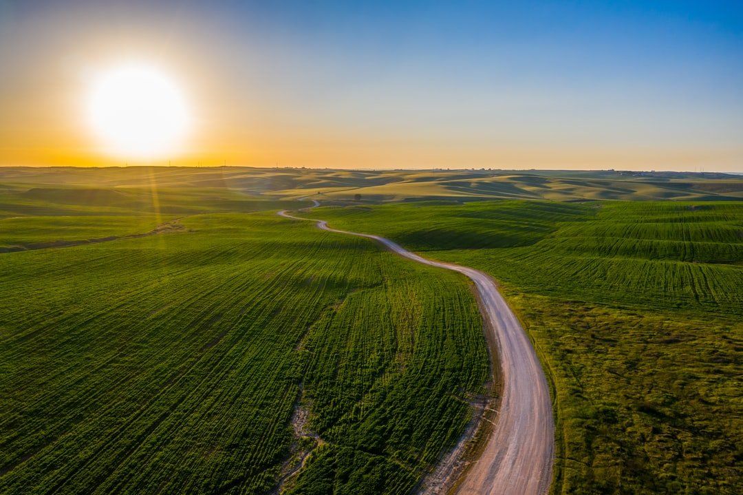 תאר שני בשפלה ובדרום