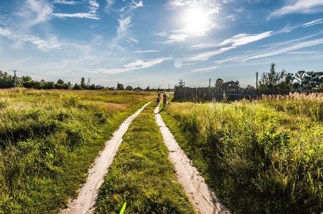 A dirt road going through a grassy field on a sunny day.