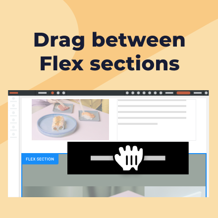 New! Drag & drop into and between Flex sections