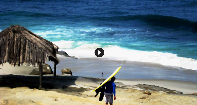 Windansea Surfcam