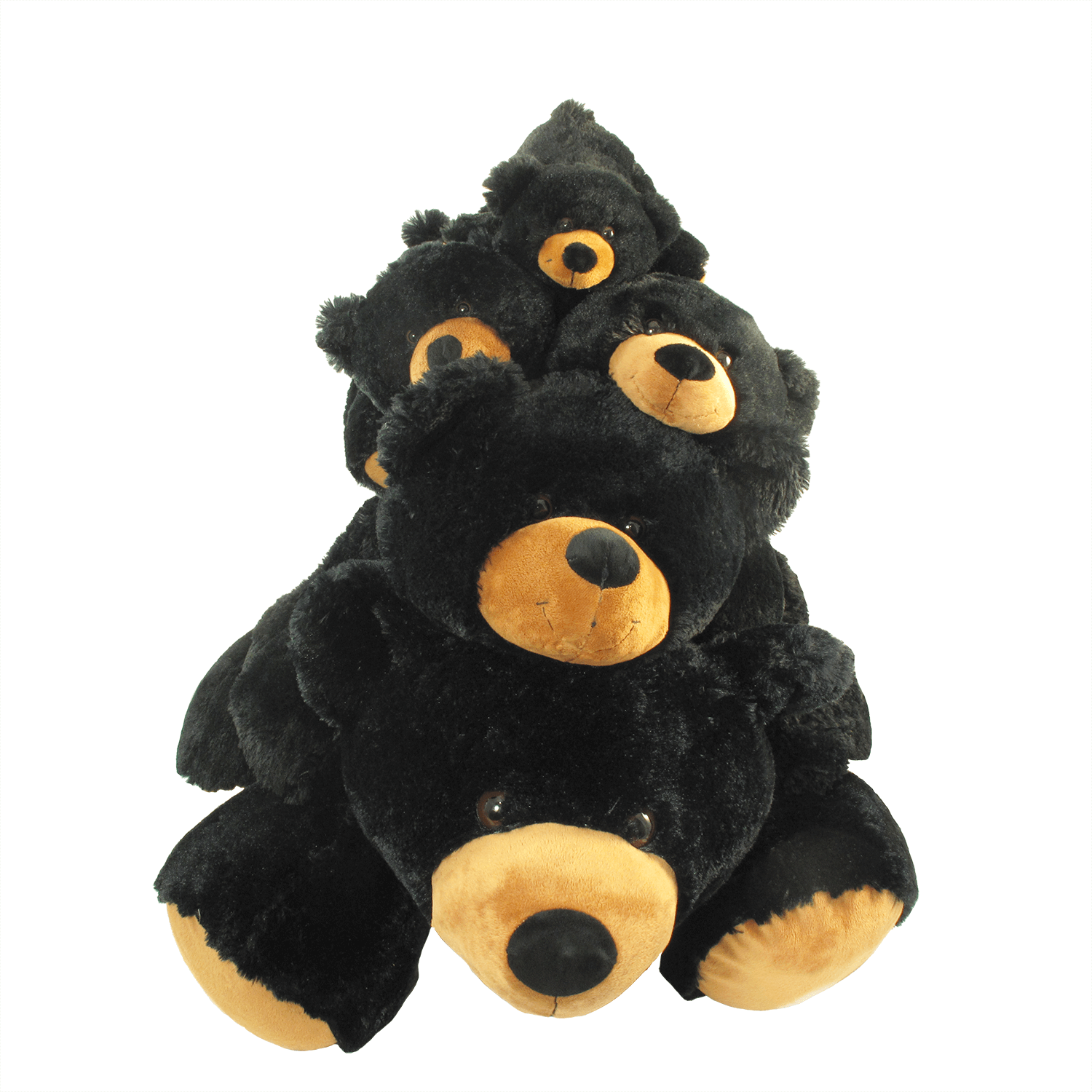 wishpets black bear